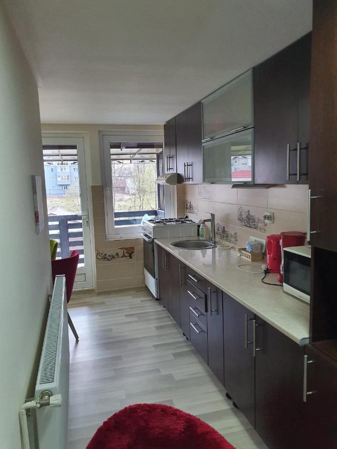 Villa Coca Campulung Moldovenesc Luaran gambar