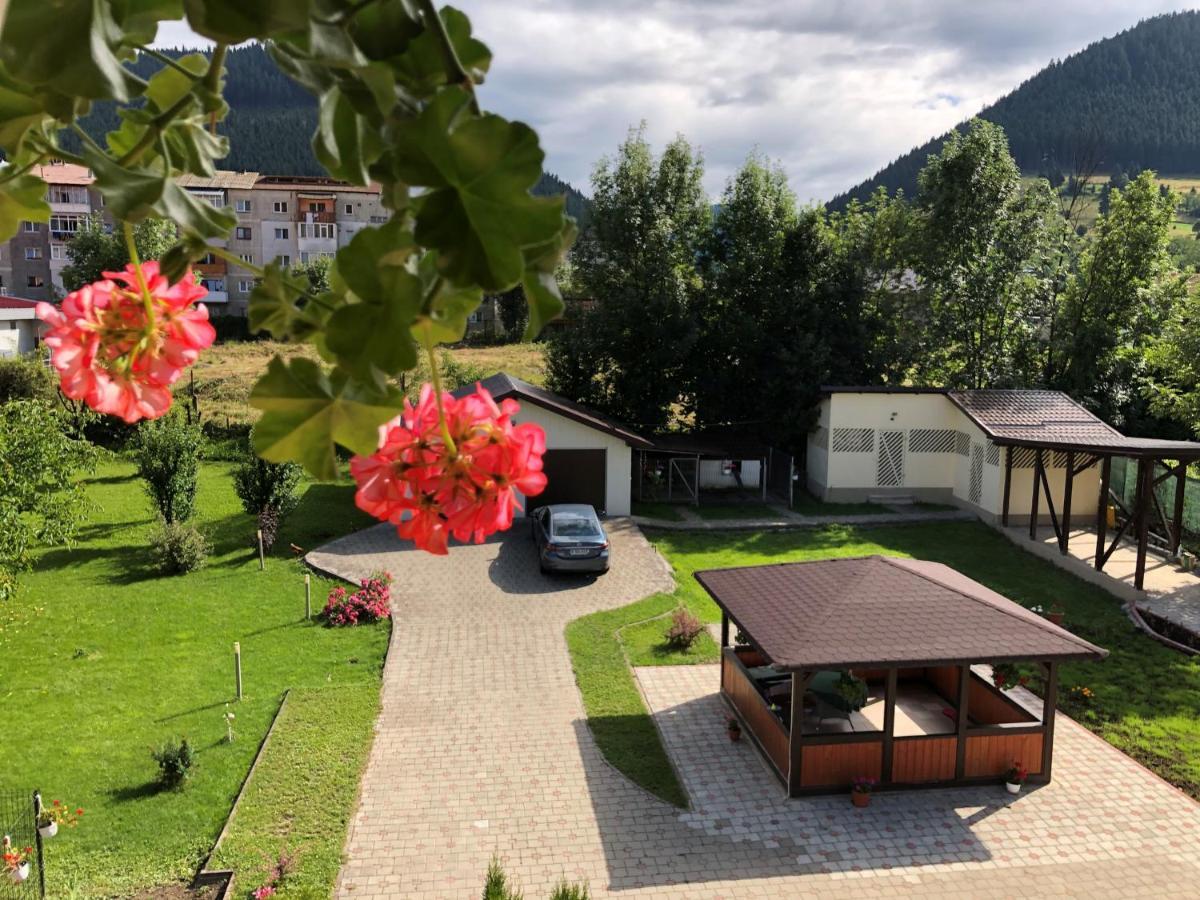 Villa Coca Campulung Moldovenesc Luaran gambar