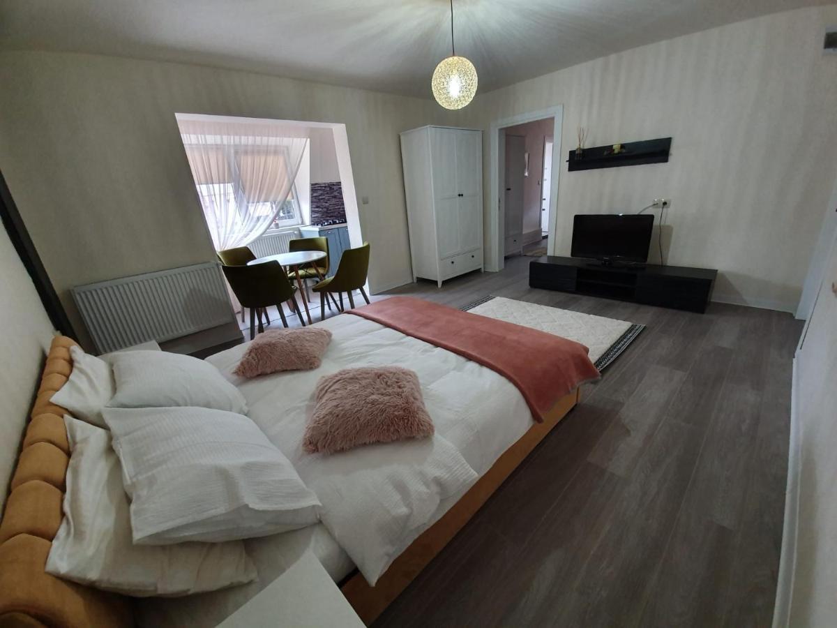 Villa Coca Campulung Moldovenesc Luaran gambar